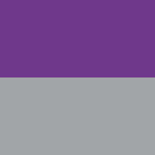 violet/grey